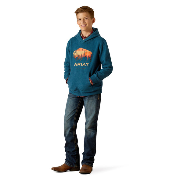 Bison Plains Hoodie