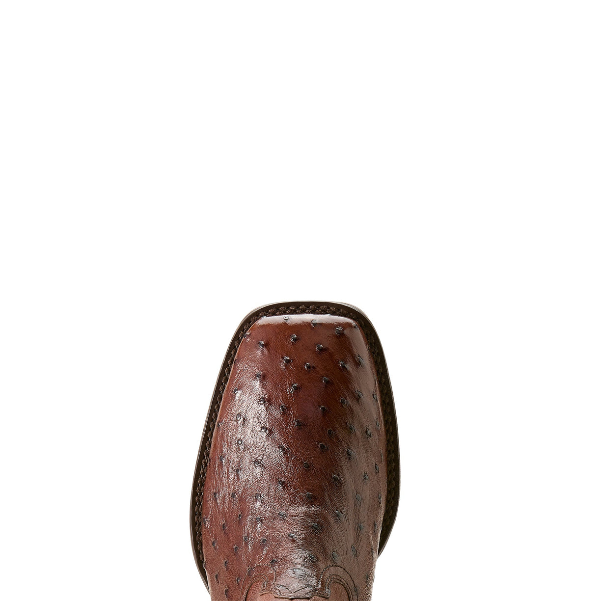 Booker Ultra Exotic - Tabac Brown Full Quill Ostrich Leather