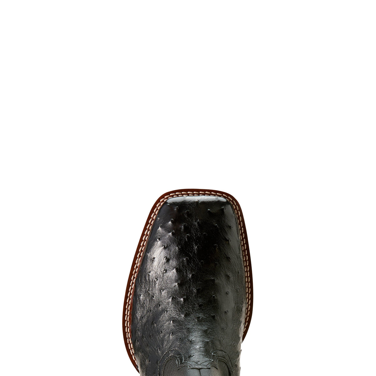 Booker Ultra Exotic - Jet Black Full Quill Ostrich Leather
