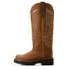 Women's Tallbaby