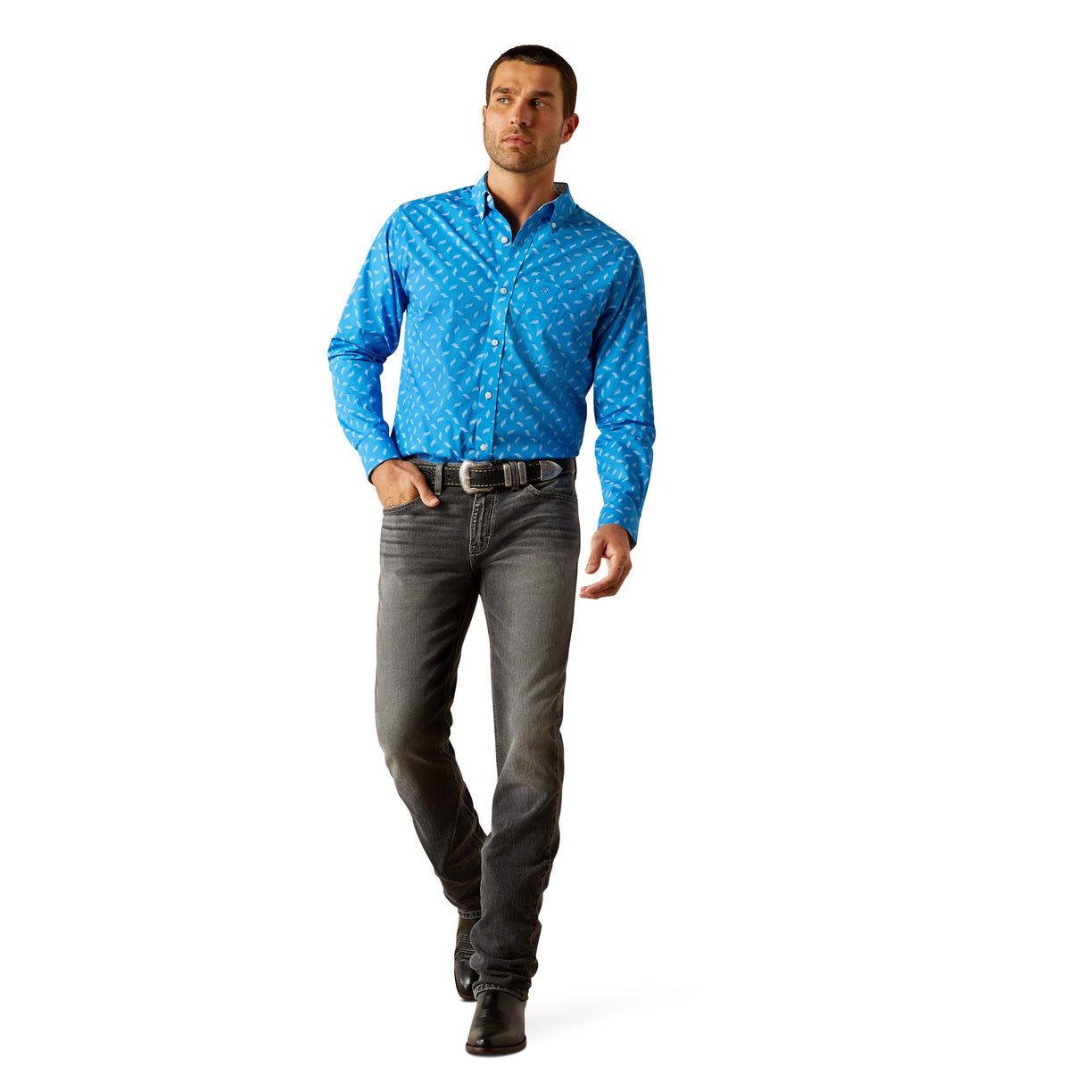 Wrinkle Free Blaze Fitted Shirt