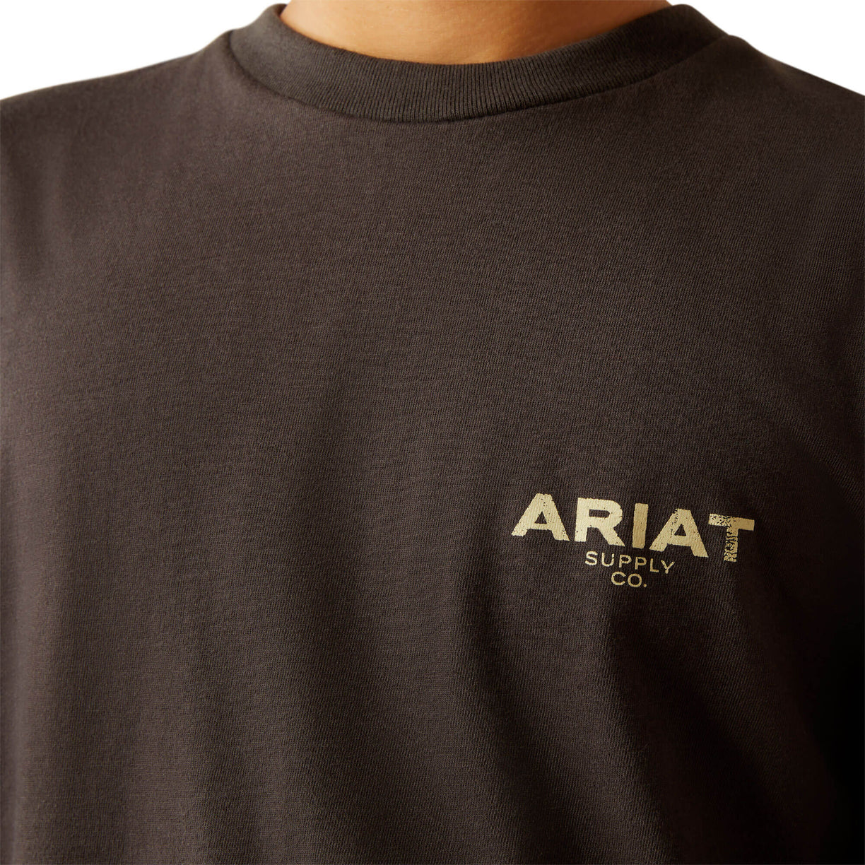 Ariat Explore Circle T-Shirt in Black