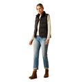 UltraPuff Down Vest