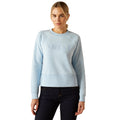 Woman wearing a light blue sweatshirt with 'Ariat' branding on a white background