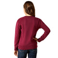 Person wearing a maroon sweatshirt on a white background