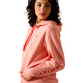 Ariat Logo 2.0 Hoodie