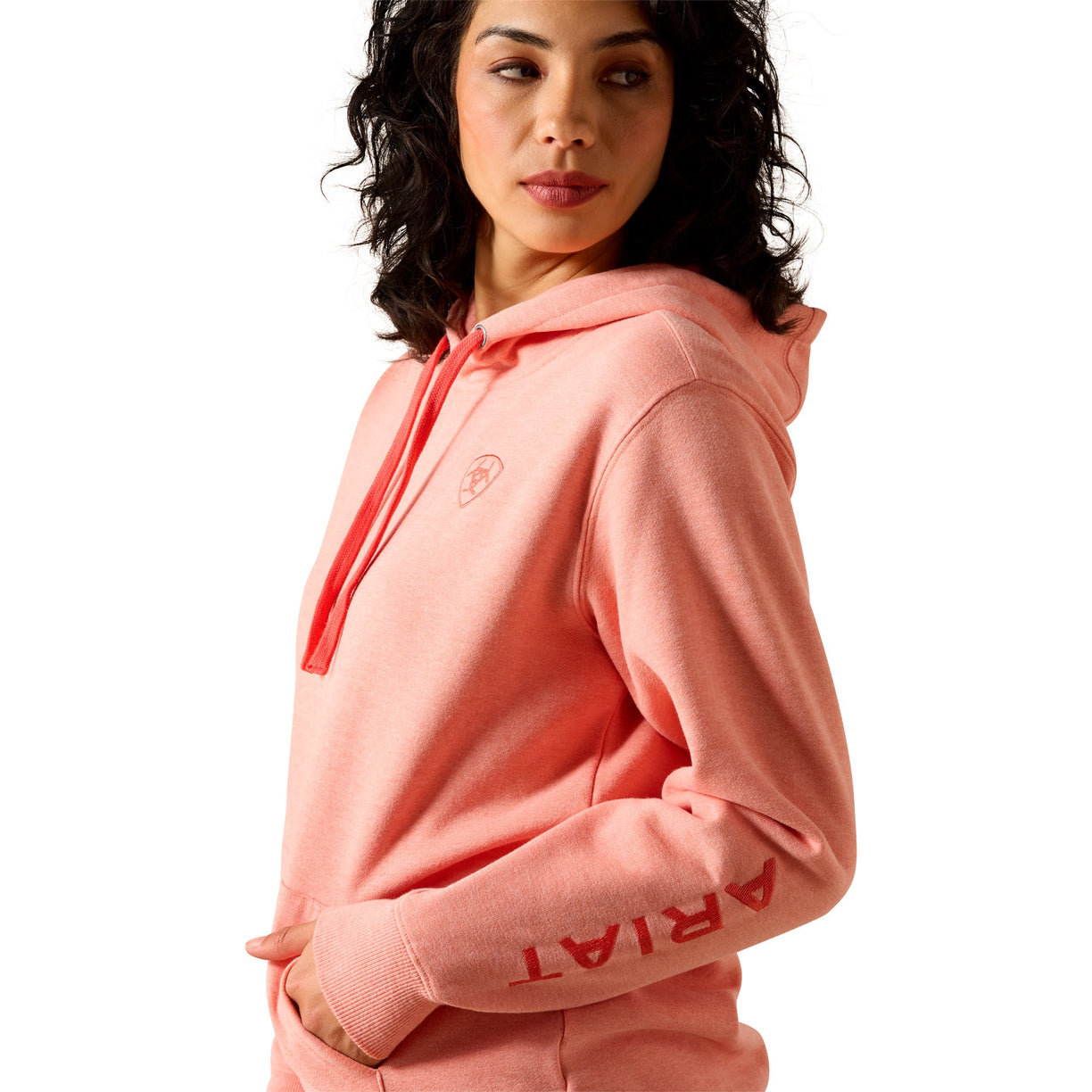 Ariat Logo 2.0 Hoodie