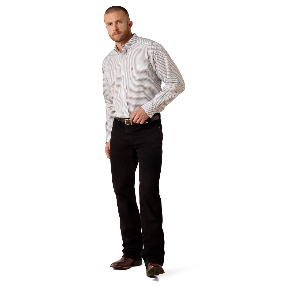 Wrinkle Free Cory Classic Fit Shirt