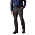 Person wearing dark gray pants and a blue long-sleeve shirt on a white background