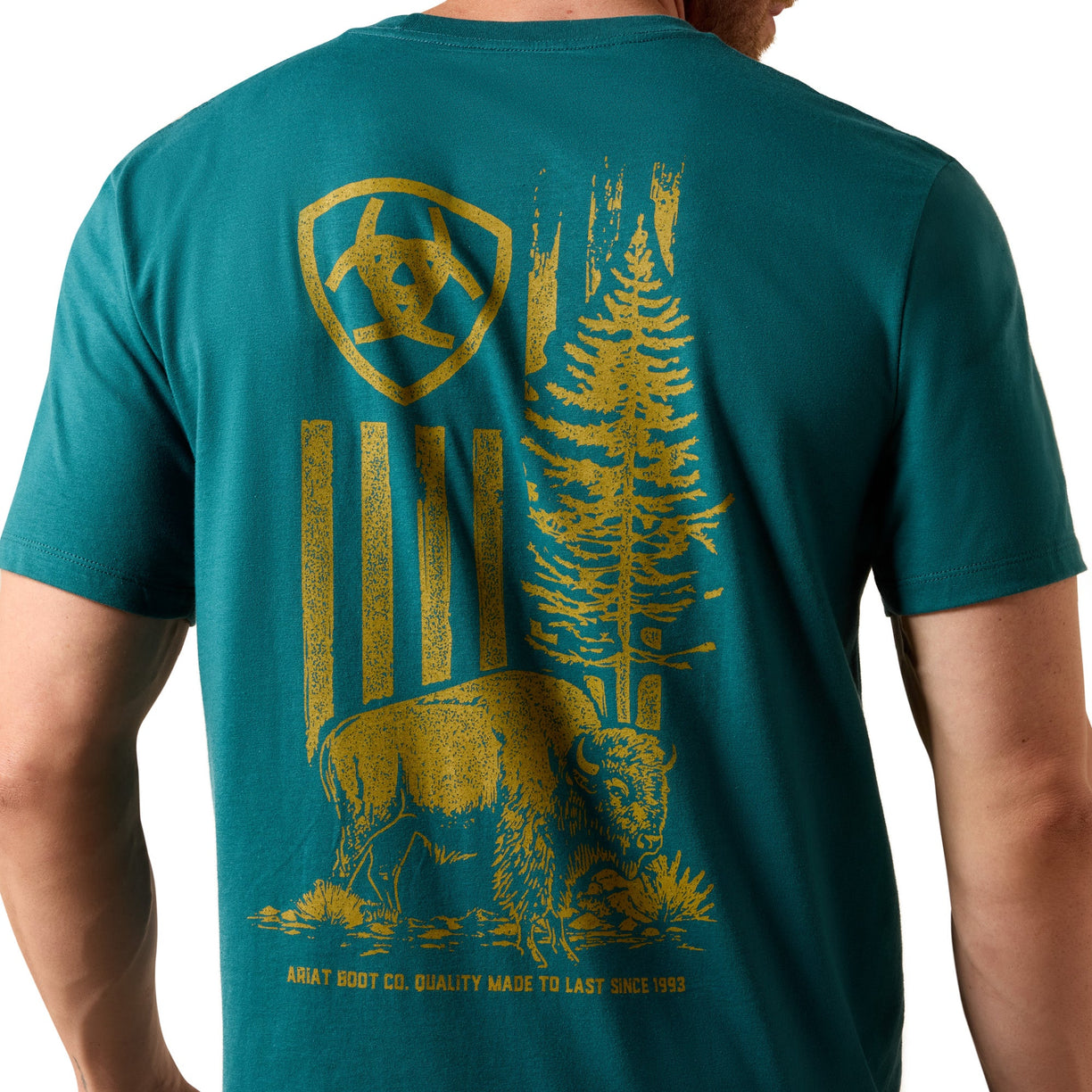 Teal t-shirt with yellow graphic design on the back, featuring a bear and trees.