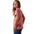 Farm Quilt Tee