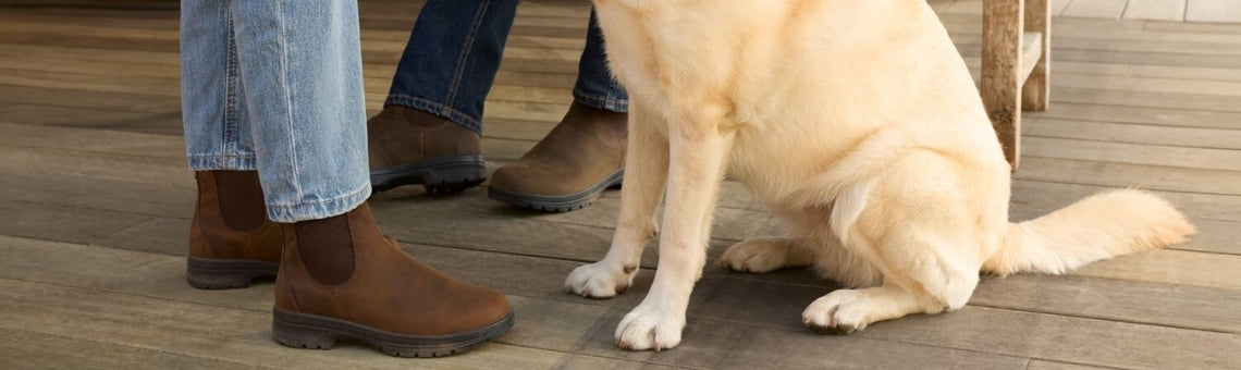 Couple wearing Ariat Cooper Chelsea style boots with their pet dog on the veranda. 