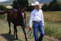 Man in cowboy hat and jeans walking a horse on a grassy field.