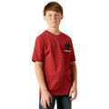 Ariat Buffalo Flag T-Shirt