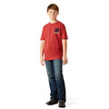 Ariat Buffalo Flag T-Shirt