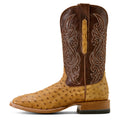 A single western cowboy boot shown in profile against a white background. The boot features a tan ostrich-textured leather lower body and a dark brown leather shaft with lighter tan ostrich-patterned embroidery and stitching.