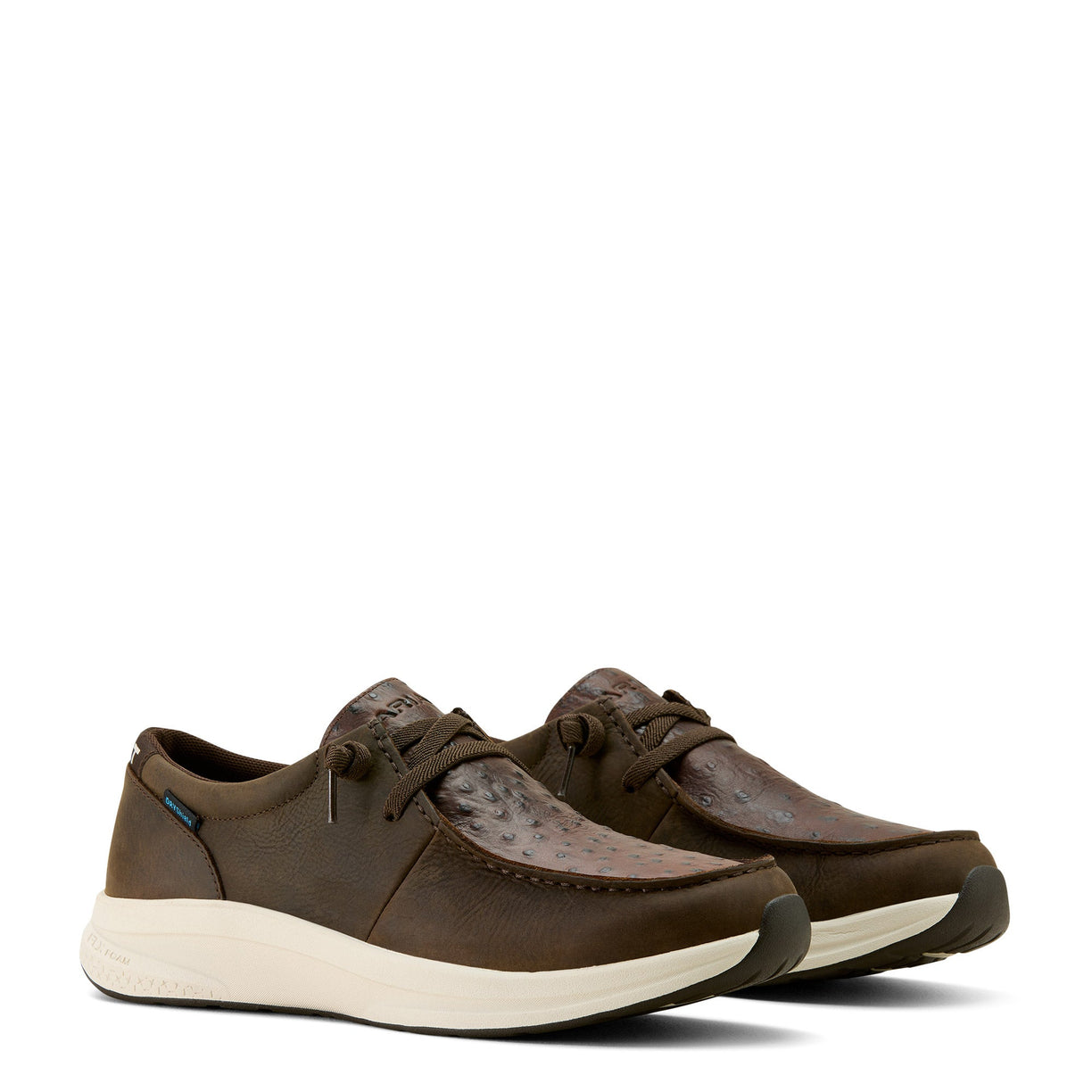 Ariat Men's Buckeye Waterproof Shoe in dark brown leather with full quill ostrich print - Pair