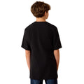 Ariat Highland Sundowner T-Shirt